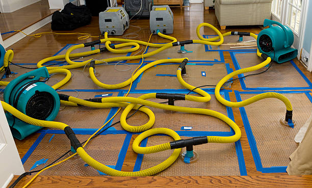 Professional Crawl Space Water Removal technician working in Bybee, TN